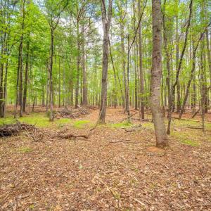 Photo #8 of TBD GARTH GATE LN, CHARLOTTESVILLE, VA 21.0 acres
