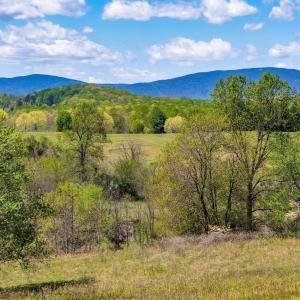 Photo #1 of BLOOMFIELD RD, CHARLOTTESVILLE, VA 21.1 acres