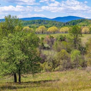 Photo #12 of BLOOMFIELD RD, CHARLOTTESVILLE, VA 21.1 acres