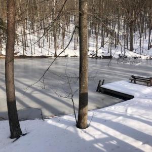 Photo #25 of 163 acres HOPKINS GAP RD, FULKS RUN, VA 163.7 acres