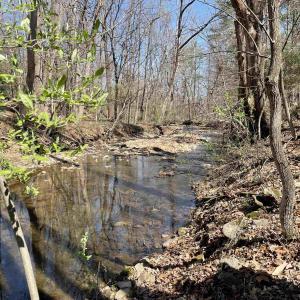 Photo #26 of 163 acres HOPKINS GAP RD, FULKS RUN, VA 163.7 acres