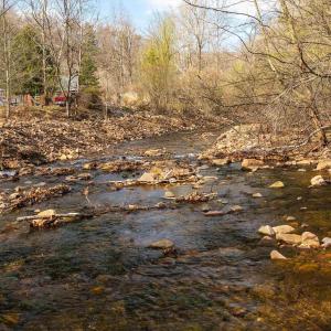 Photo #40 of 163 acres HOPKINS GAP RD, FULKS RUN, VA 163.7 acres