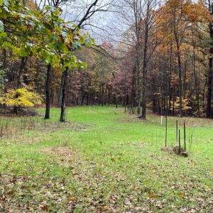 Photo #57 of 163 acres HOPKINS GAP RD, FULKS RUN, VA 163.7 acres