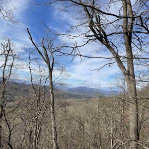 Photo #75 of 163 acres HOPKINS GAP RD, FULKS RUN, VA 163.7 acres
