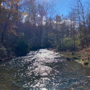 Photo #41 of 163 acres HOPKINS GAP RD, FULKS RUN, VA 163.7 acres