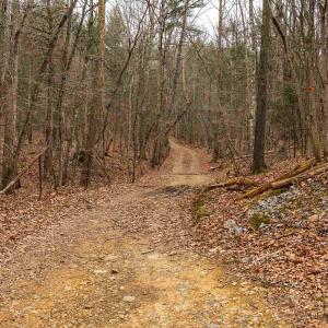 Photo #65 of 163 acres HOPKINS GAP RD, FULKS RUN, VA 163.7 acres