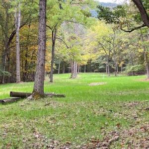 Photo #56 of 163 acres HOPKINS GAP RD, FULKS RUN, VA 163.7 acres