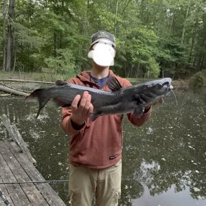 Photo #19 of 163 acres HOPKINS GAP RD, FULKS RUN, VA 163.7 acres