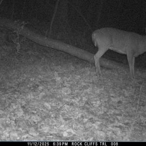 Photo #44 of 163 acres HOPKINS GAP RD, FULKS RUN, VA 163.7 acres