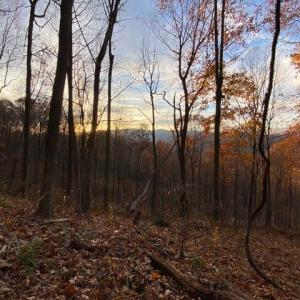 Photo #54 of 163 acres HOPKINS GAP RD, FULKS RUN, VA 163.7 acres