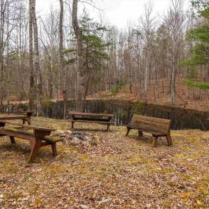 Photo #19 of 163 acres HOPKINS GAP RD, FULKS RUN, VA 163.7 acres
