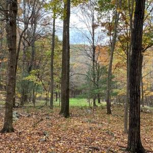 Photo #53 of 163 acres HOPKINS GAP RD, FULKS RUN, VA 163.7 acres