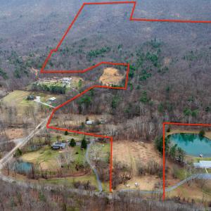 Photo #1 of 163 acres HOPKINS GAP RD, FULKS RUN, VA 163.7 acres