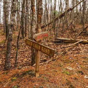Photo #39 of Lot 1 HOPKINS GAP RD, FULKS RUN, VA 81.9 acres