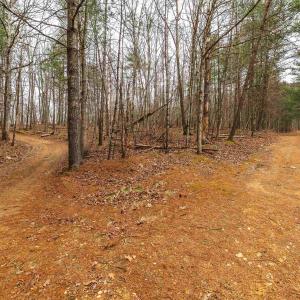 Photo #38 of Lot 1 HOPKINS GAP RD, FULKS RUN, VA 81.9 acres