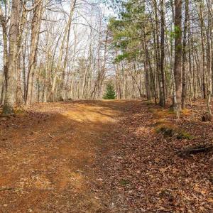 Photo #70 of Lot 1 HOPKINS GAP RD, FULKS RUN, VA 81.9 acres
