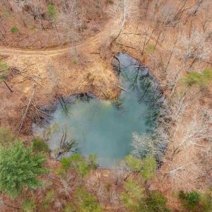 Photo #50 of Lot 1 HOPKINS GAP RD, FULKS RUN, VA 81.9 acres