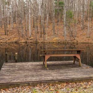 Photo #18 of Lot 1 HOPKINS GAP RD, FULKS RUN, VA 81.9 acres