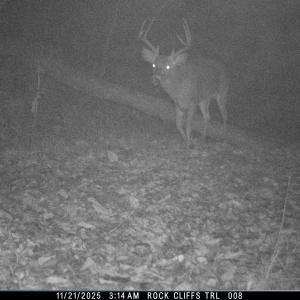 Photo #55 of Lot 1 HOPKINS GAP RD, FULKS RUN, VA 81.9 acres