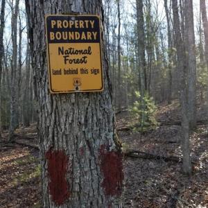 Photo #6 of Lot 1 HOPKINS GAP RD, FULKS RUN, VA 81.9 acres