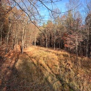 Photo #69 of Lot 1 HOPKINS GAP RD, FULKS RUN, VA 81.9 acres