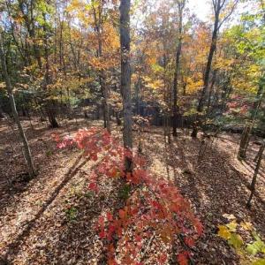 Photo #67 of Lot 1 HOPKINS GAP RD, FULKS RUN, VA 81.9 acres
