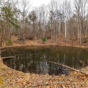 Photo #45 of Lot 1 HOPKINS GAP RD, FULKS RUN, VA 81.9 acres
