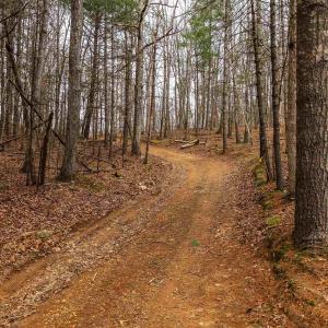 Photo #41 of Lot 1 HOPKINS GAP RD, FULKS RUN, VA 81.9 acres