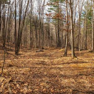 Photo #73 of Lot 1 HOPKINS GAP RD, FULKS RUN, VA 81.9 acres