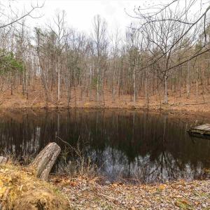 Photo #46 of Lot 1 HOPKINS GAP RD, FULKS RUN, VA 81.9 acres