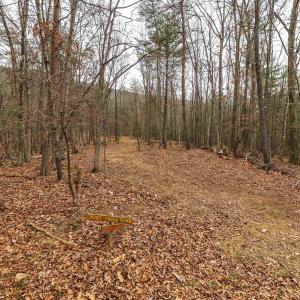 Photo #42 of Lot 1 HOPKINS GAP RD, FULKS RUN, VA 81.9 acres