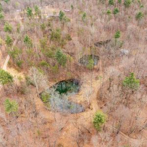 Photo #49 of Lot 1 HOPKINS GAP RD, FULKS RUN, VA 81.9 acres