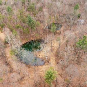Photo #48 of Lot 1 HOPKINS GAP RD, FULKS RUN, VA 81.9 acres