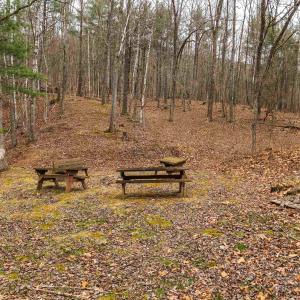 Photo #47 of Lot 1 HOPKINS GAP RD, FULKS RUN, VA 81.9 acres