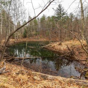 Photo #43 of Lot 1 HOPKINS GAP RD, FULKS RUN, VA 81.9 acres
