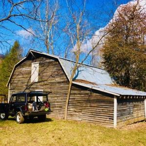Photo #28 of Lot 1 HOPKINS GAP RD, FULKS RUN, VA 81.9 acres