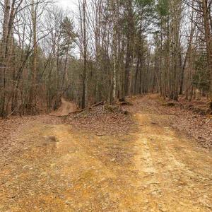 Photo #36 of Lot 1 HOPKINS GAP RD, FULKS RUN, VA 81.9 acres