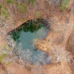 Photo #50 of Lot 1 HOPKINS GAP RD, FULKS RUN, VA 81.9 acres