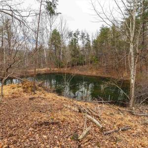 Photo #44 of Lot 1 HOPKINS GAP RD, FULKS RUN, VA 81.9 acres
