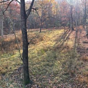 Photo #65 of Lot 1 HOPKINS GAP RD, FULKS RUN, VA 81.9 acres