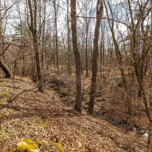 Photo #42 of 81.5 Acres HOPKINS GAP RD, FULKS RUN, VA 81.5 acres