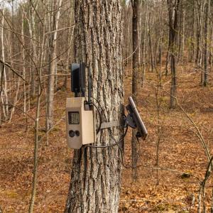 Photo #15 of 81.5 Acres HOPKINS GAP RD, FULKS RUN, VA 81.5 acres