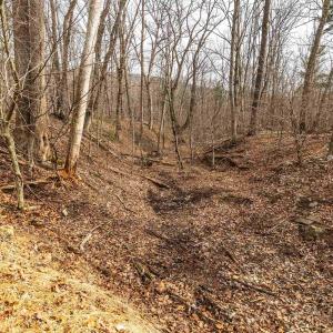 Photo #43 of 81.5 Acres HOPKINS GAP RD, FULKS RUN, VA 81.5 acres