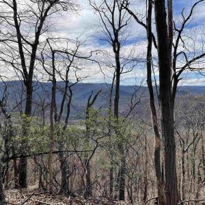 Photo #2 of 81.5 Acres HOPKINS GAP RD, FULKS RUN, VA 81.5 acres