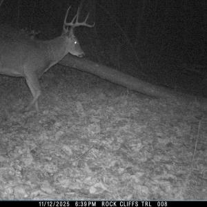 Photo #18 of 81.5 Acres HOPKINS GAP RD, FULKS RUN, VA 81.5 acres