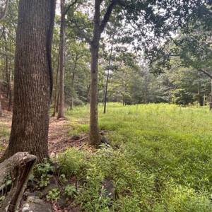 Photo #49 of 81.5 Acres HOPKINS GAP RD, FULKS RUN, VA 81.5 acres