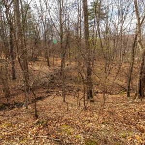 Photo #41 of 81.5 Acres HOPKINS GAP RD, FULKS RUN, VA 81.5 acres