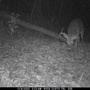 Photo #21 of 81.5 Acres HOPKINS GAP RD, FULKS RUN, VA 81.5 acres