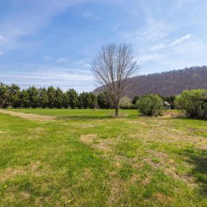 Photo #28 of 14506 TRAVIS LN, FULKS RUN, VA 1.0 acres