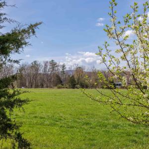 Photo #29 of 14506 TRAVIS LN, FULKS RUN, VA 1.0 acres